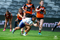 LFC - GF - Bulldogs v West Tigers_15