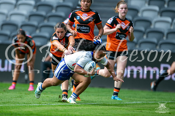 LFC - GF - Bulldogs v West Tigers_15