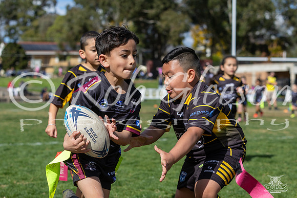 Gala Day_11