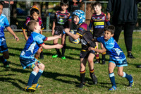 U7(2) R8 - Vs Cabramatta_014