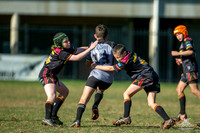 U11(1) R13 v Rouse Hill_5