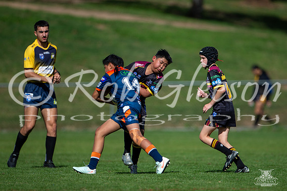 U13(3) R4 v Tigers_5