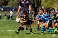 U6(1) R2 v Cabramatta_4