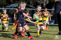 U6(3) R10 v Tigers_12
