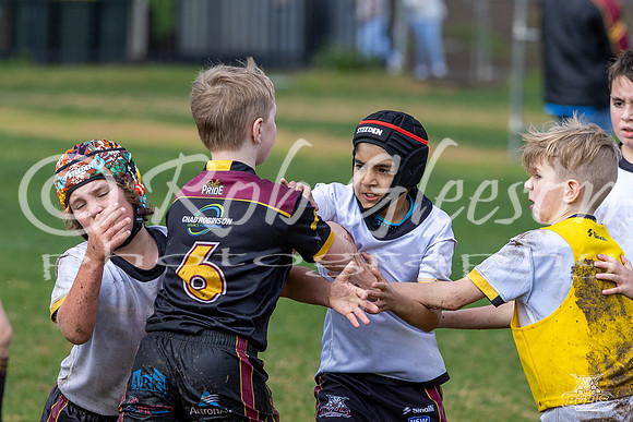 U8(2) R15 v U8(1)_44